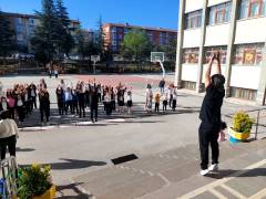 Evrensel Kolej
